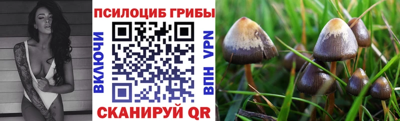 дарк нет какой сайт Окуловка Псилоцибиновые грибы мухоморы